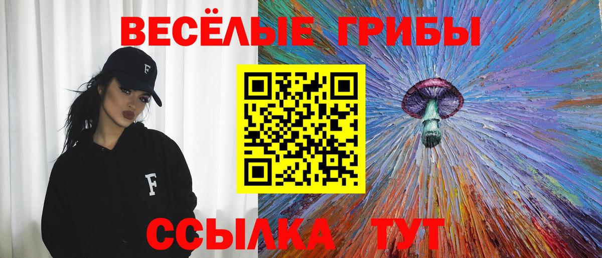 Псилоцибиновые грибы прущие грибы  Вход с VPN  сколько стоит  Кулебаки 